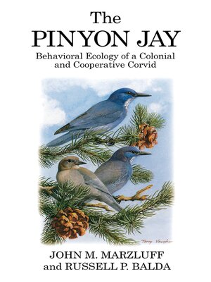 cover image of The Pinyon Jay